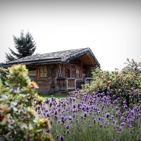 Hotel Le Manoir Des Montagnes Les Rousses Exteriör bild